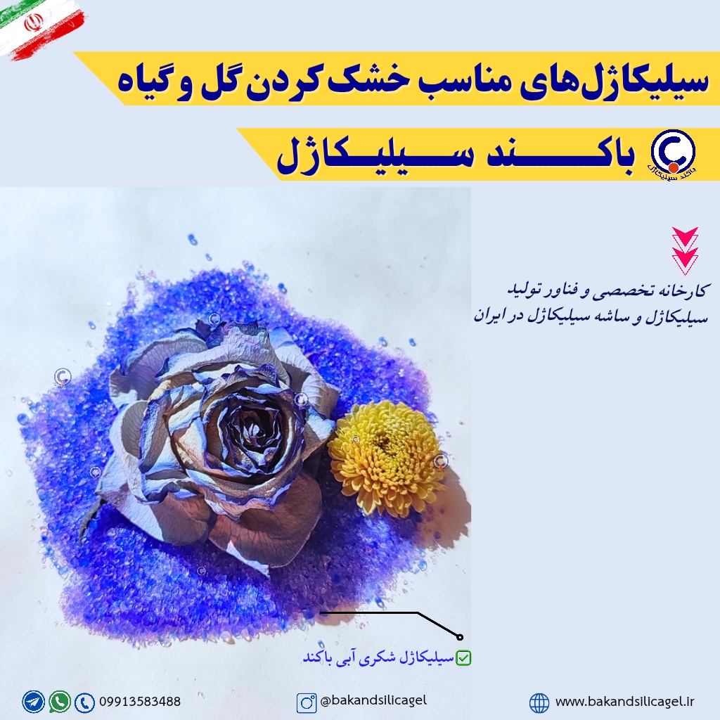 سیلیکاژل‌های مناسب خشک کردن گل و گیاه کدامند؟ - باکند سیلیکاژل