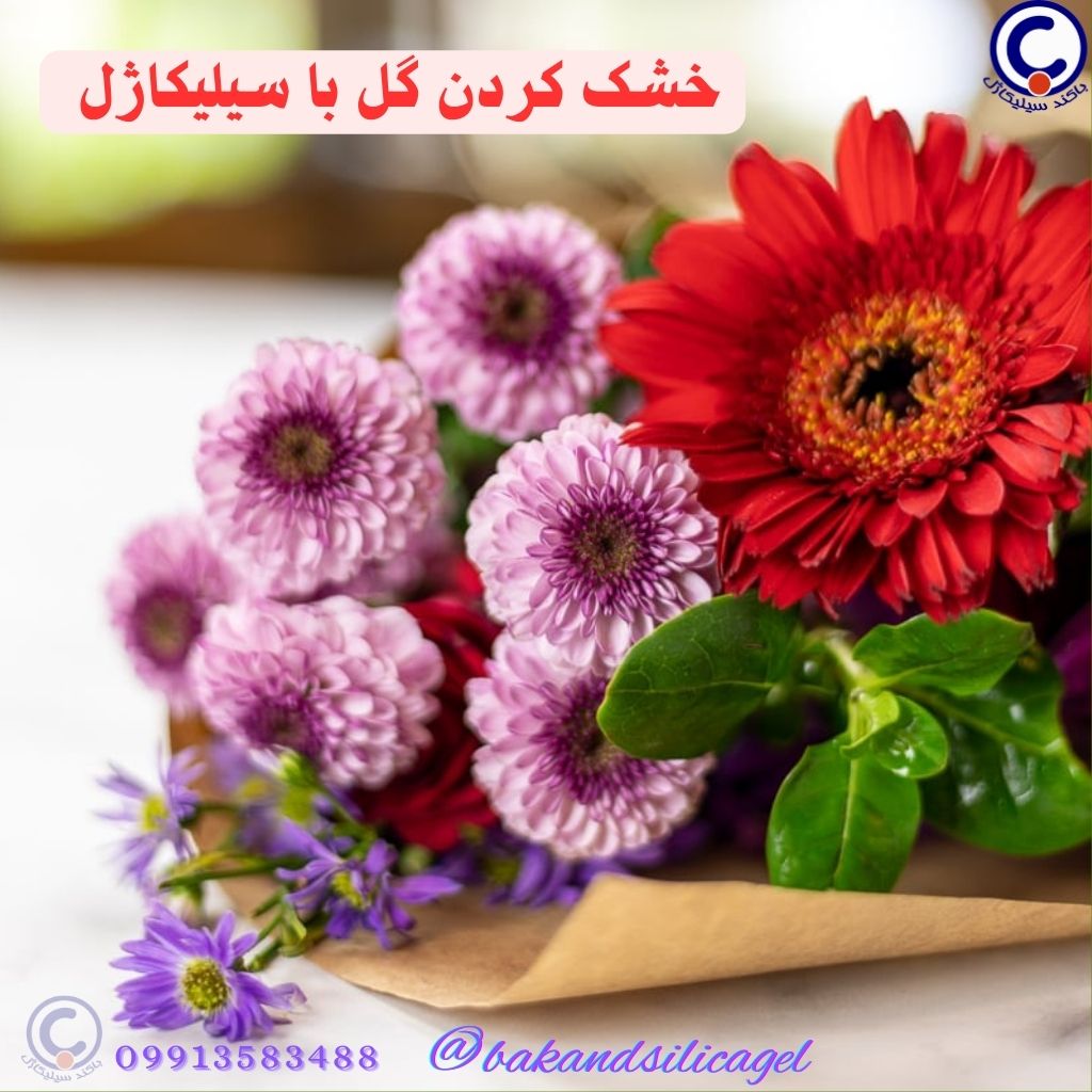 خشک کردن گل‌های ولنتاین با سیلیکاژل؛ یادگاری ماندگار از عشق با باکند سیلیکاژل!  - باکند سیلیکاژل